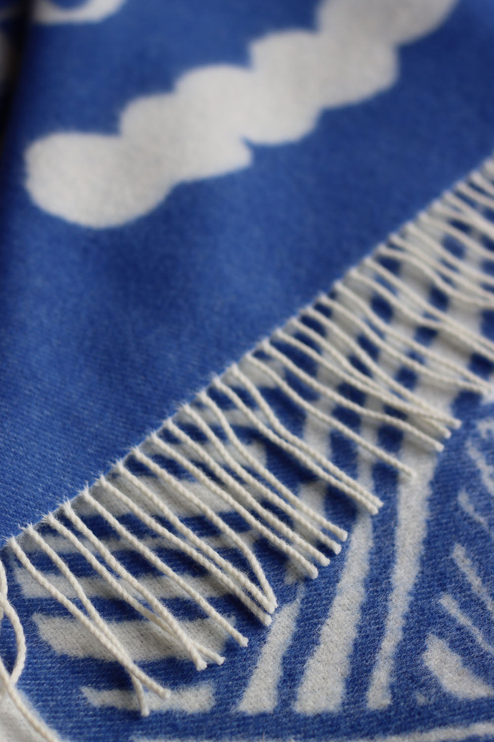 Forager Throw - Blue & White