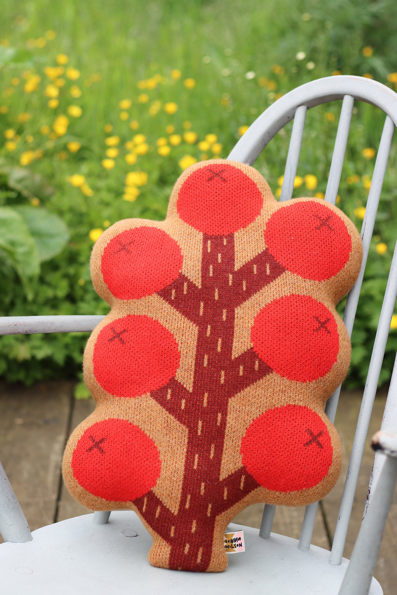 Berry Shaped Cushion