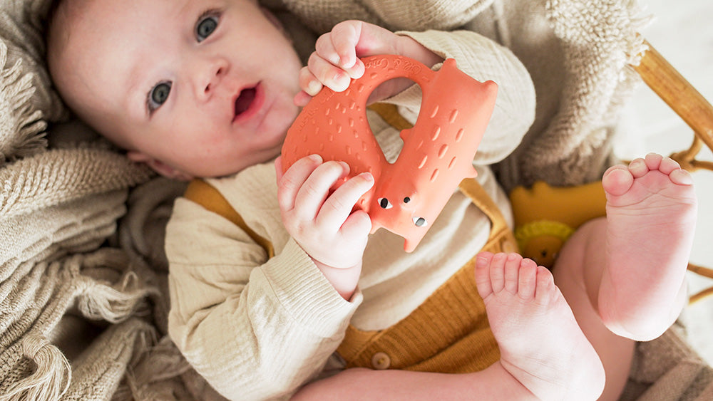 Cyril Squirrel Fox Teether - Oli & Carol x Donna Wilson