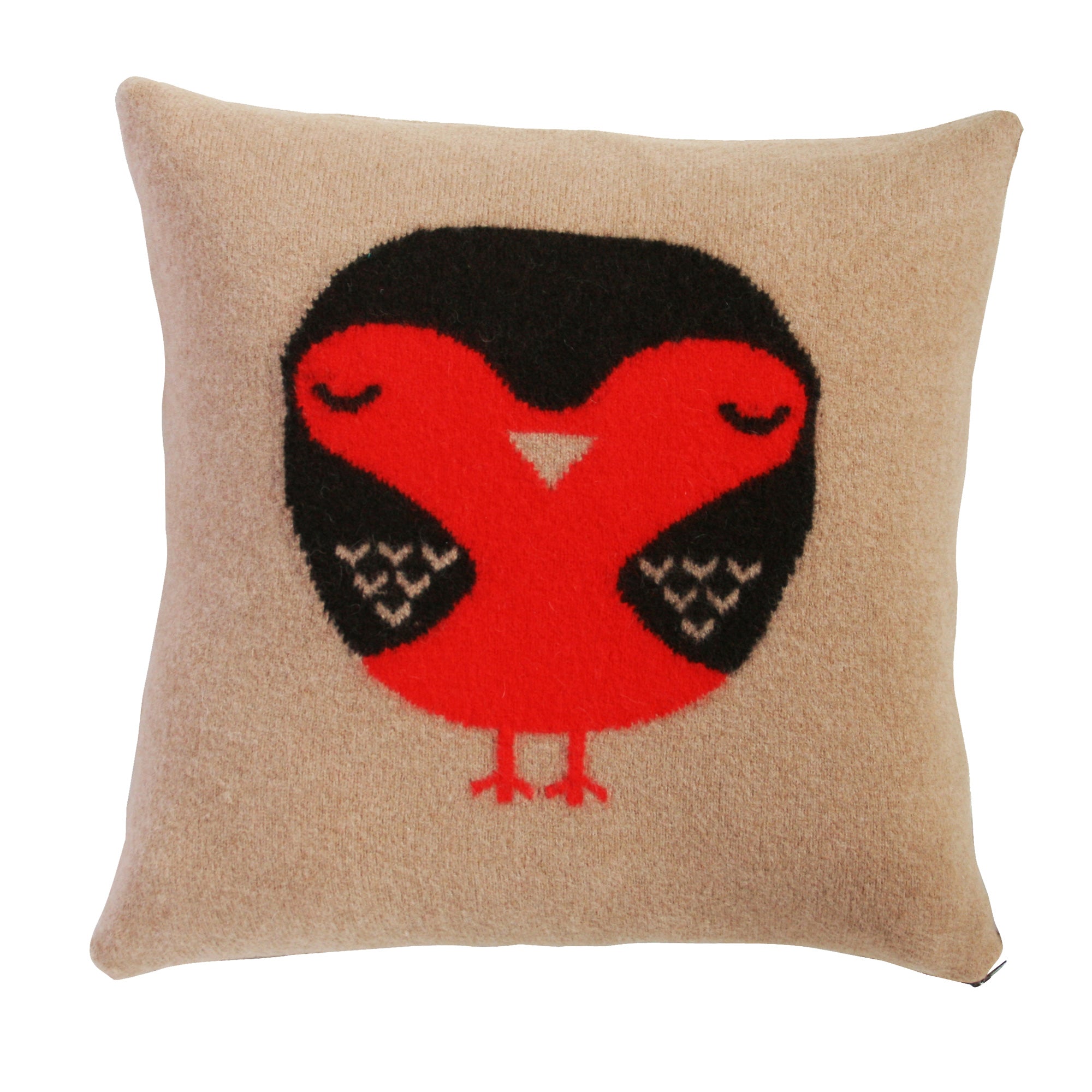 Robin Square Cushion