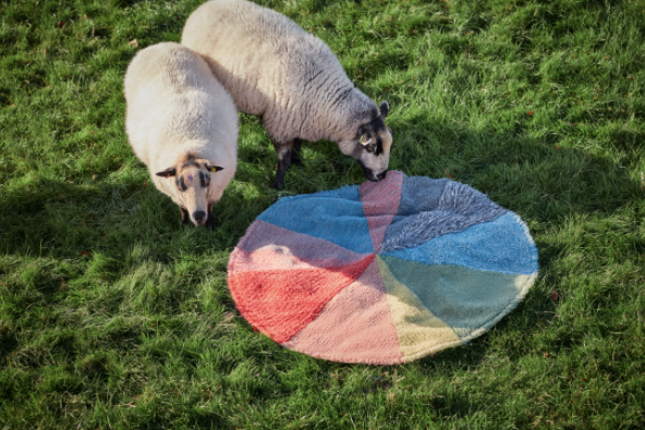 Pie Chart Rug